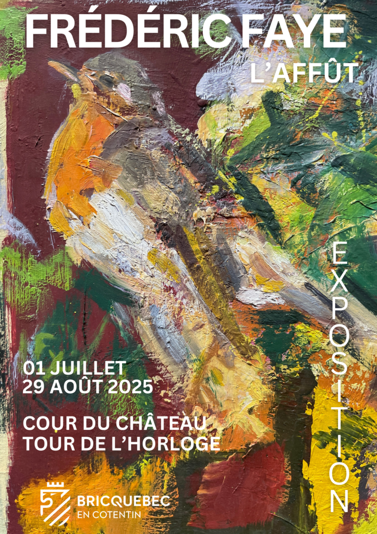 Exposition Frédéric Faye