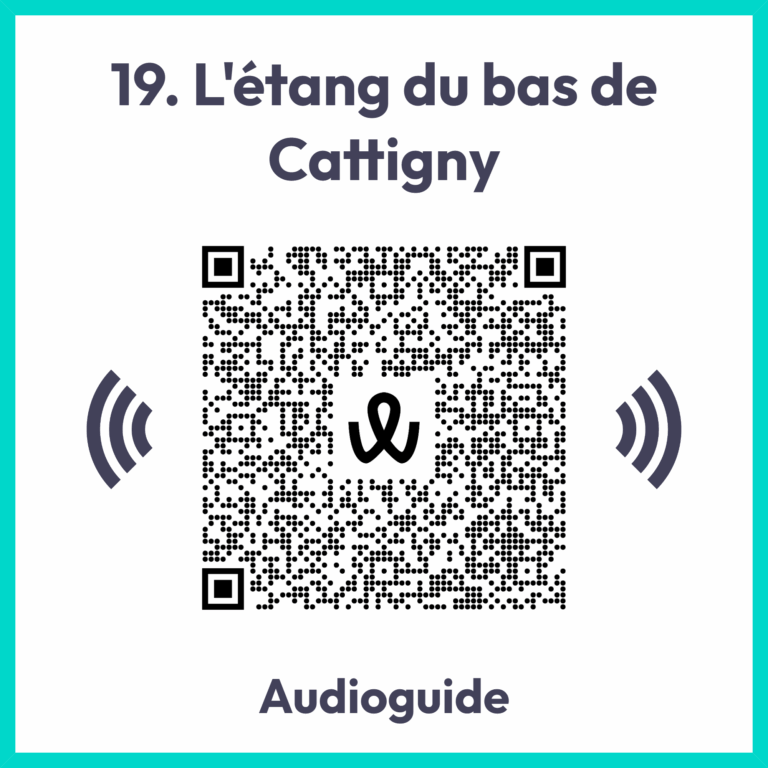 Qrcode 19